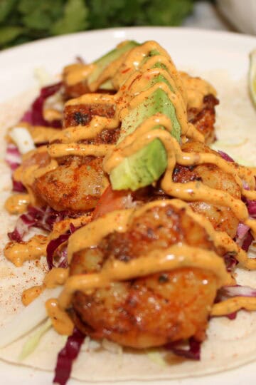 cajun shrimp taco with chipotle mayo and avocado